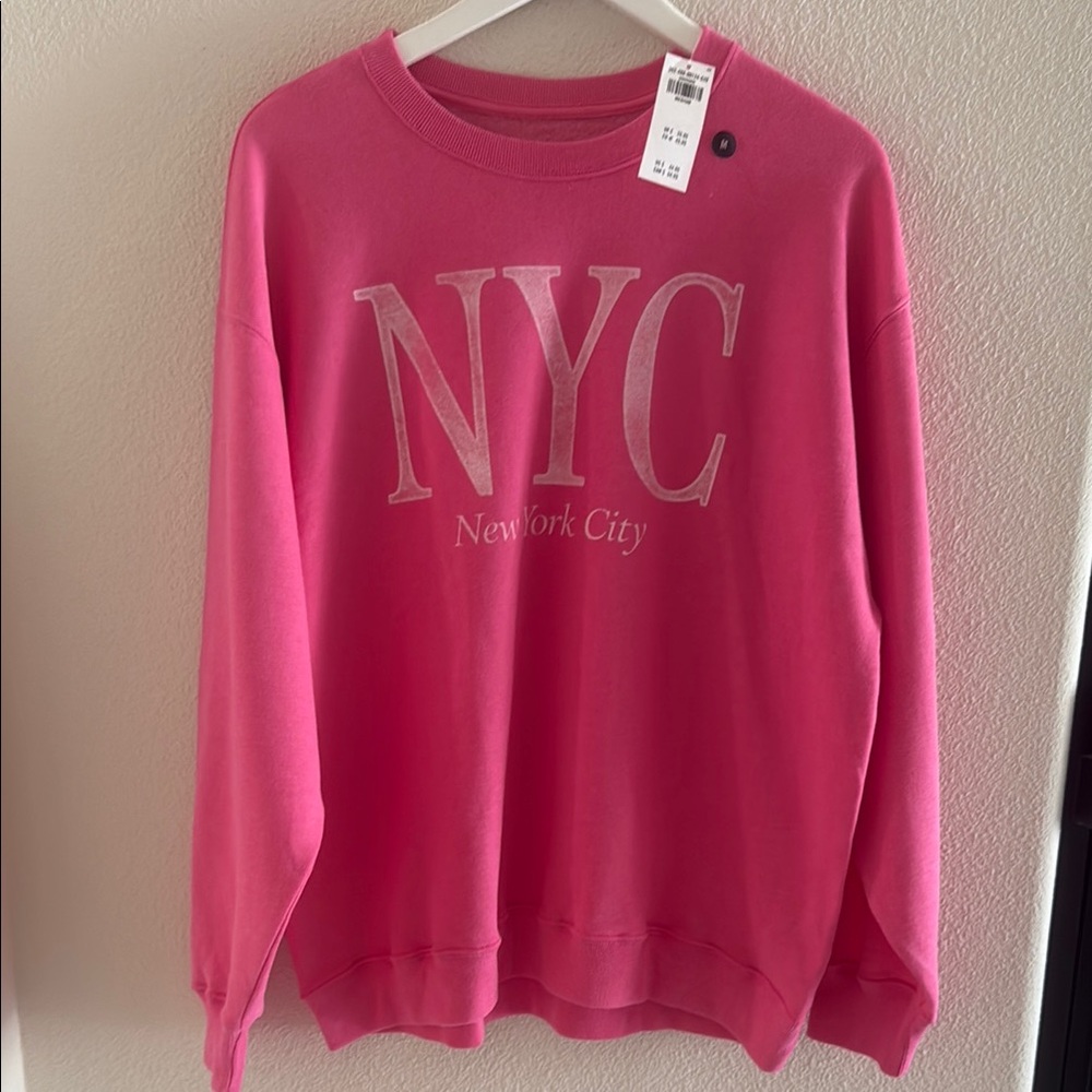 Pink NYC Sweatshirt from Hollister